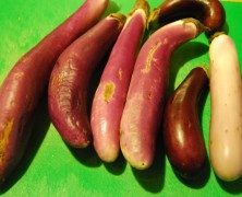 Spicy Glazed Eggplant